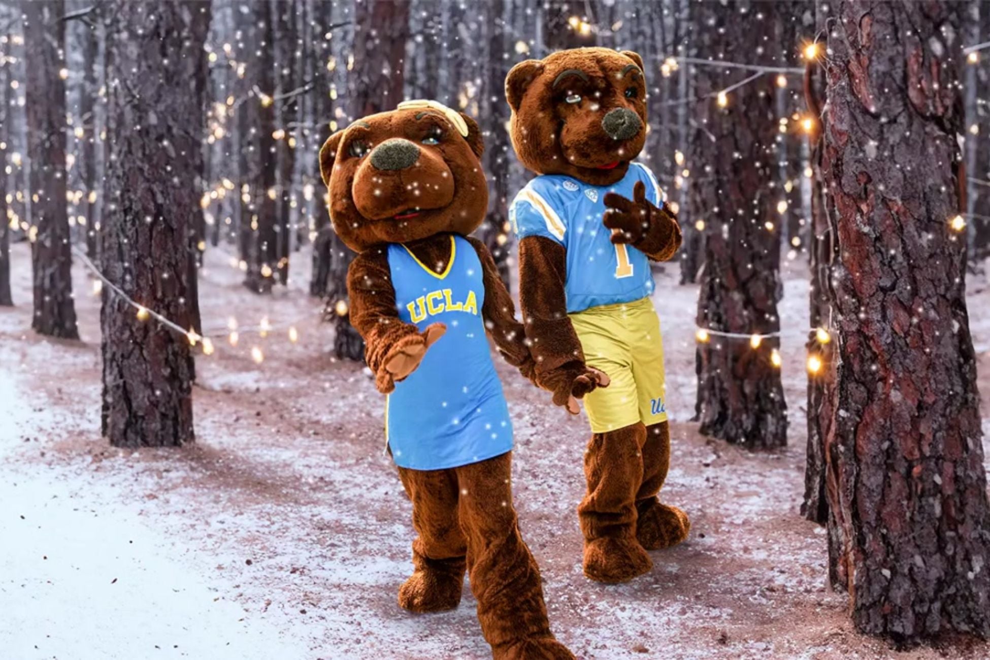 Joe and Josie Bruin mascots stroll through a snowy forest surrounded by tall trees, a winter landscape, and white holiday lights