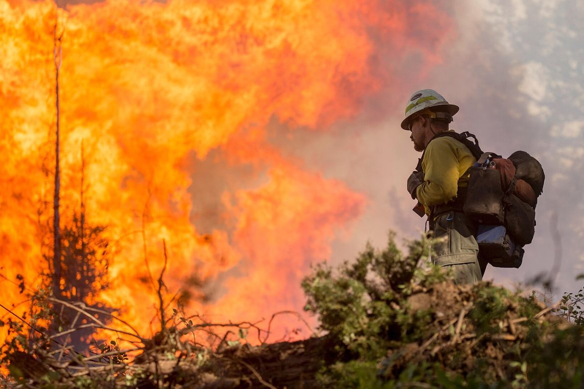 A sole firefighter faces a wall of forest fire