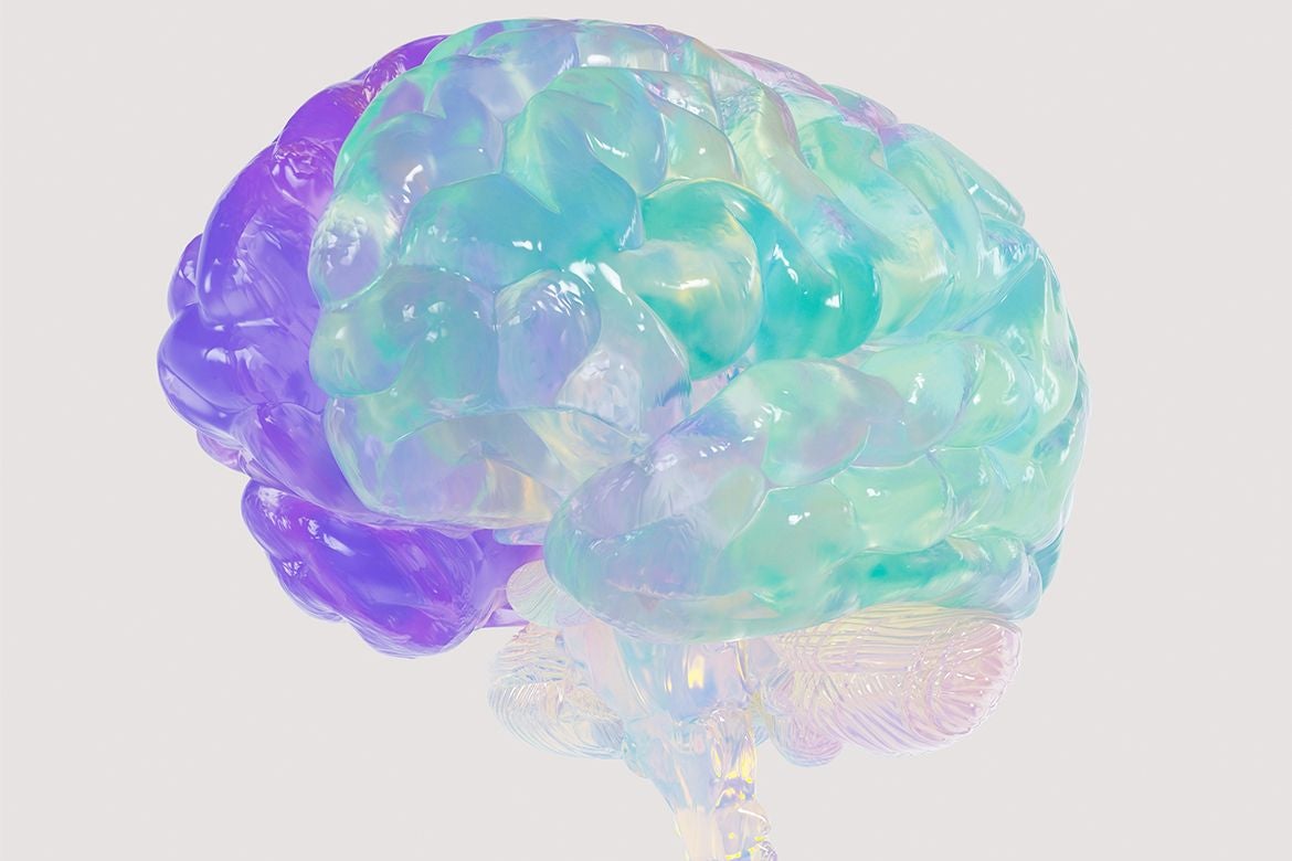 Translucent brain in purple and light blue