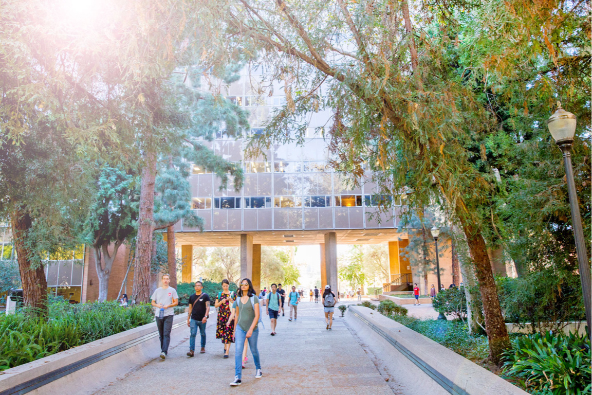 Exploring Campus Life at UCLA